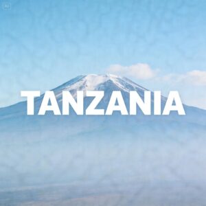 Tanzania Tanzacomm Unlimited - 5 days